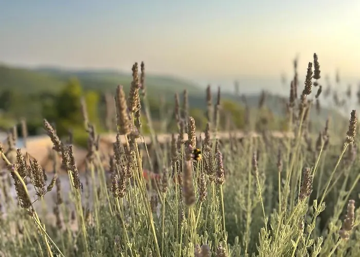 Stravatha Secluded Sunset Volímai