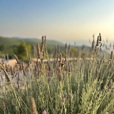 Stravatha Secluded Sunset Volímai